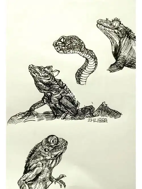 每日一画蜥蜴