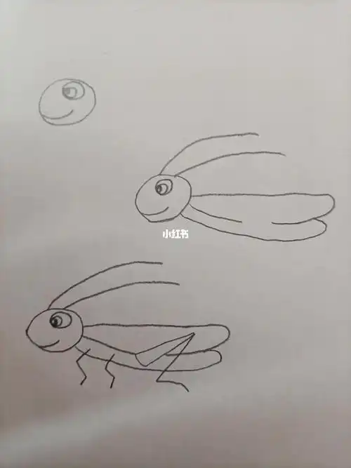 简笔画178蚱蜢