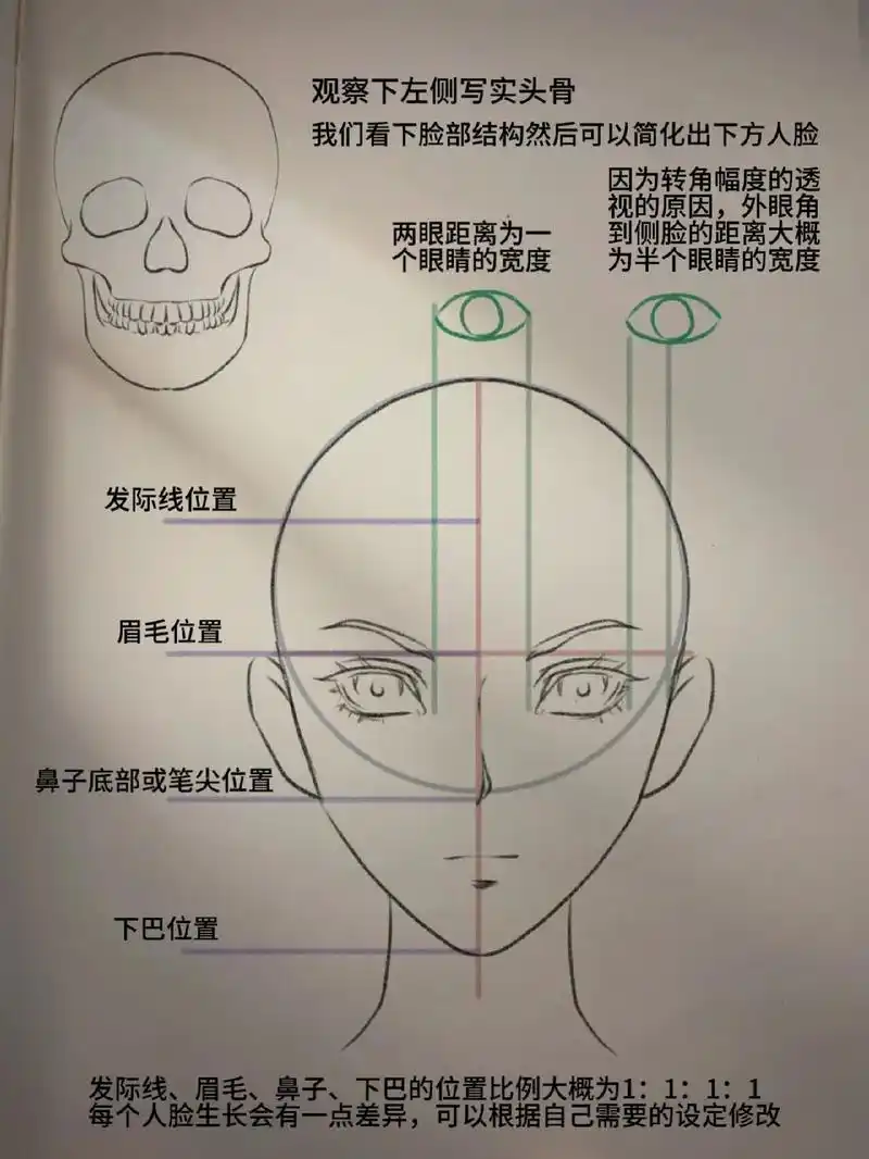 动漫人体脸部结构及如何设定.