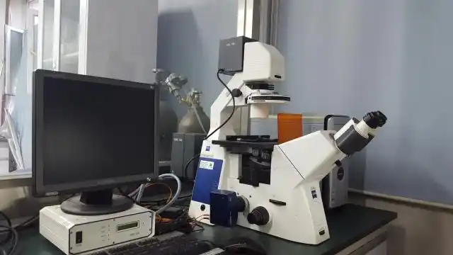 蔡司倒置荧光显微镜