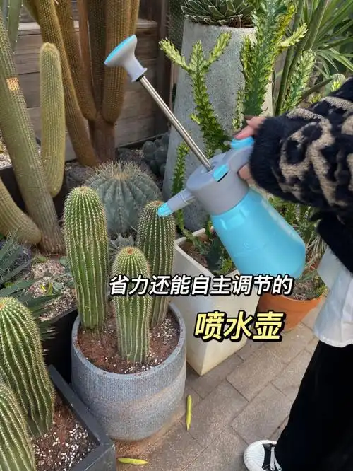 设计敲贴心的浇花喷壶