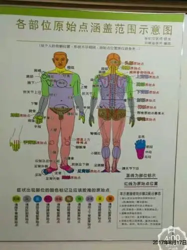 原始点示意图—-原始点提供最全的疾病与疼痛解决方案,原始点提供最全