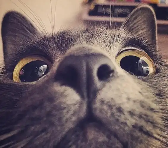 清欢不渡 的头像