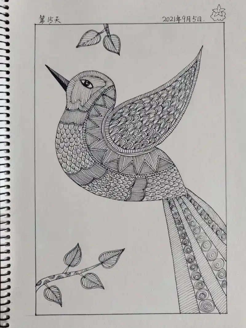 创意线描画/一只小小鸟/控笔练习day15 7715听着周老师的音频,画