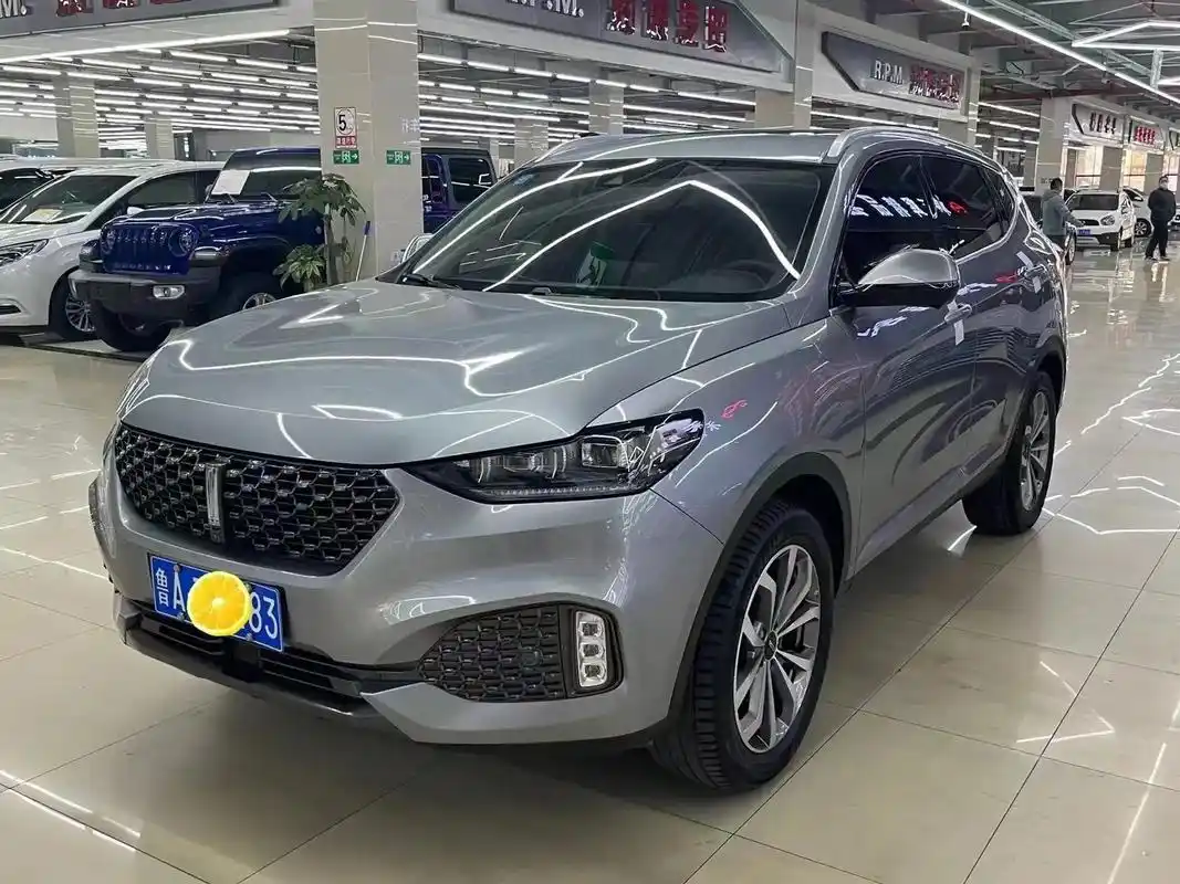 出售20年魏派vv6