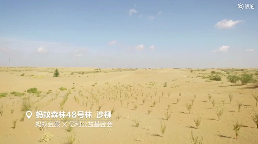 支付宝蚂蚁森林航拍网友我正在干一件改变世界的大事