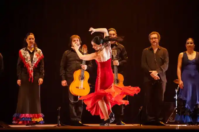 西班牙弗拉门戈的舞蹈艺术