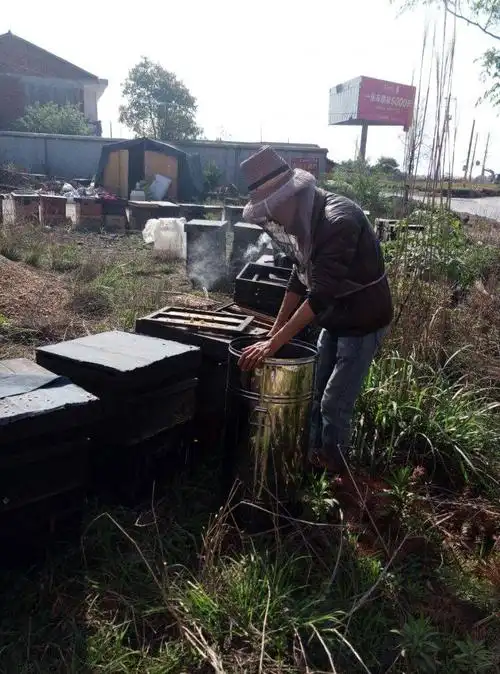 养蜂人的艰苦生活.