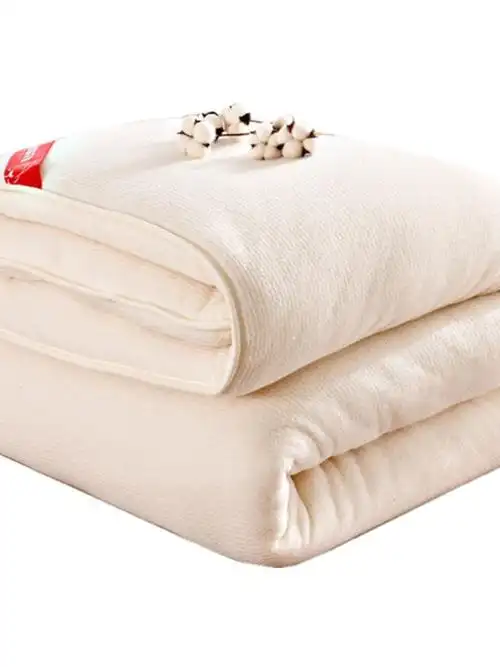新疆棉花被全棉被子加厚保暖被芯被褥子冬被棉被纯棉花棉絮床垫被