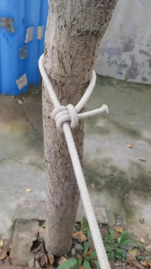 实用绳结营钉结户外拉帐篷晾衣服常用的绳结