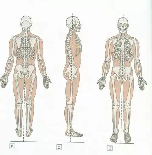 因此当人们产生慢痛时,都要去医院排除器质性疾病,最后才考虑软组织