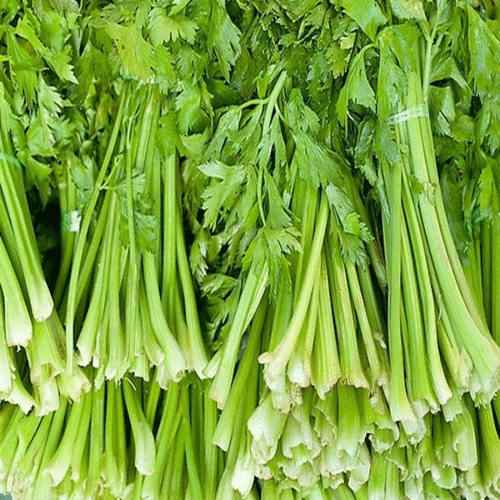 **本地绿色毛芹菜 放心新鲜叶菜