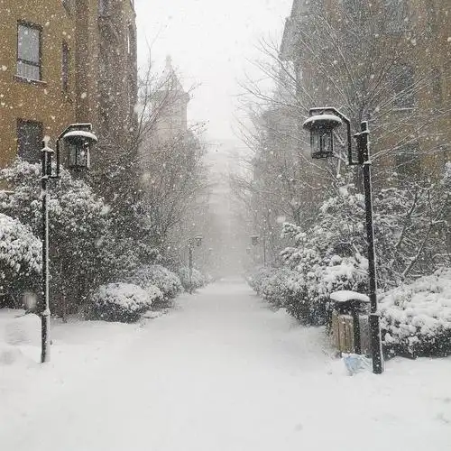 超级喜欢下雪!带大家看我去拿快递的时候顺手拍的.