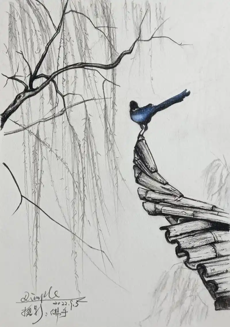 喜上眉梢见喜鹊.#绘画练习 #画渣日常 #想画就画#速写风景 - 抖音