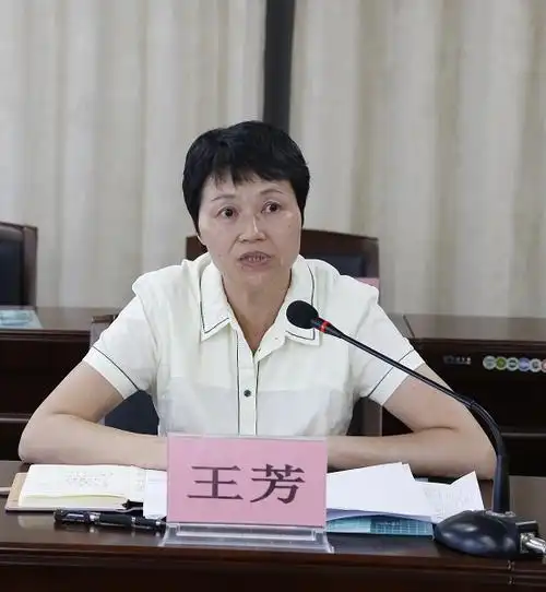 图为王芳书记讲话