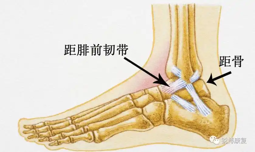 一次崴脚误终身?搞定脚踝旧伤!