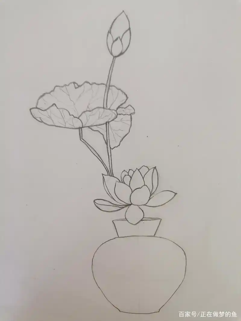 7步通俗易懂的速写画画入门教程,陶罐荷花图,适合新手入门学习