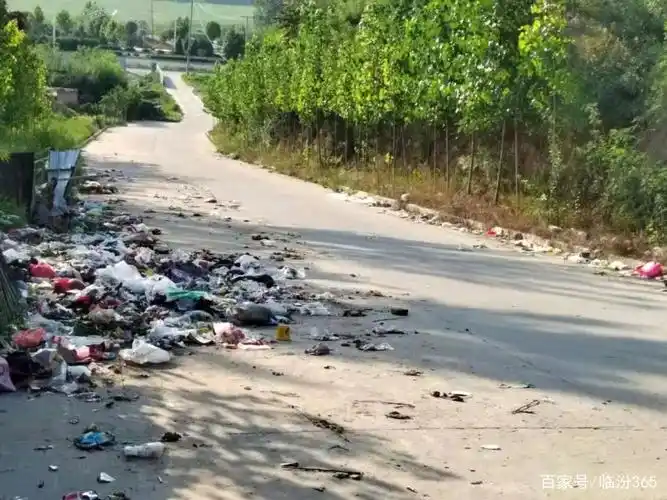 辣眼睛!临汾这俩村可真脏,垃圾遍地臭味扑鼻