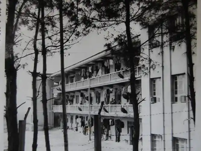 学校简介 领导班子 机构设置 师资队伍 校园风光 校史馆