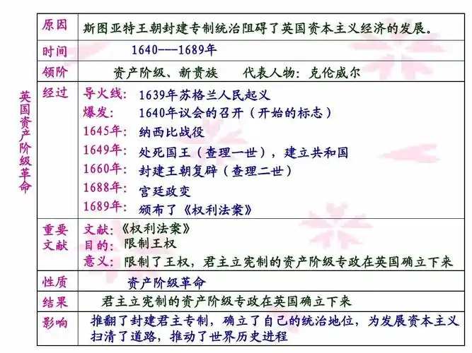 确立了自己的统治地位,为发展资本主义 扫清了道路,推动了世界历史