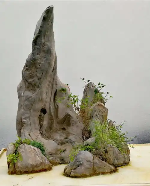 上海植物园 董叔瑜山石盆景作品展