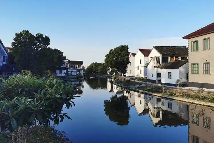 美丽乡村商榻之源金泽镇王港村20220915