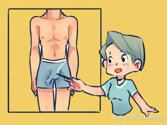 但医学专家揭示的一些关于"丁丁"的有趣事实,男人和女人看了都会惊讶