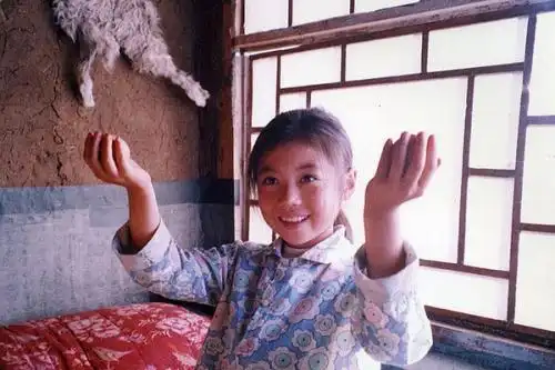 《暖春》讲述了在偏僻大山里,无家可归的孤儿小花想要一个家的故事