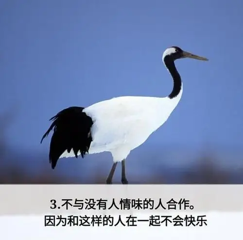 不与没有人情味的人合作