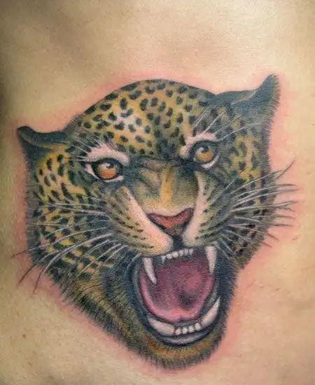 tag标签:精美肩部豹子肩部精美的豹子纹身图案tag标签:豹子兽吼山林