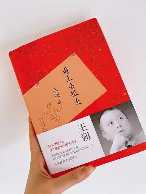 看上去很美王朔