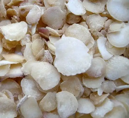 仙半夏_中医中药大全