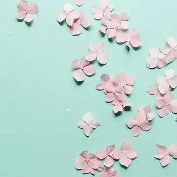 小清新文艺背景背景图片素材免费下载_熊猫办公