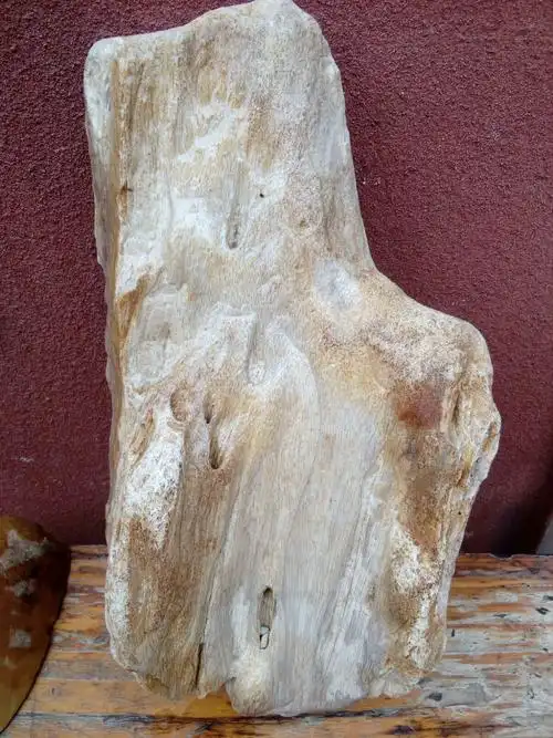 澄迈石头群拍卖通知:6月8日晚上8.30开始拍卖澄迈水冲木化石摆件,成品