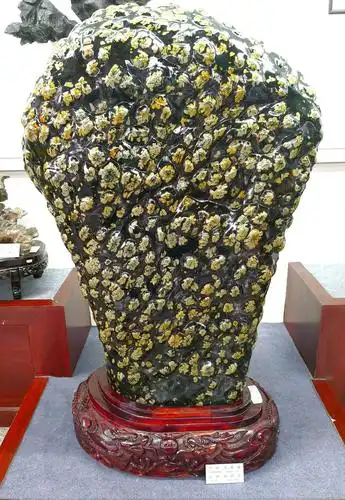 河南——牡丹石