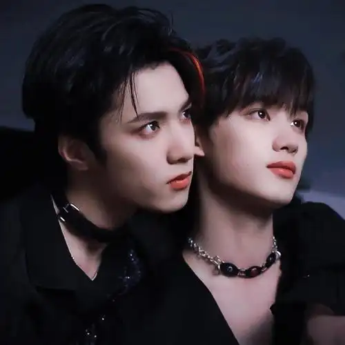 文鑫纯欲共生体