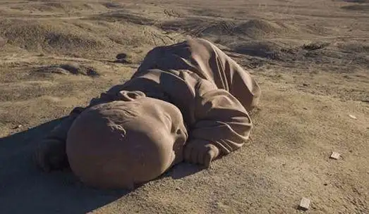 世界上最重最大的"婴儿",常年生活在沙漠里,竟然是她的孩子