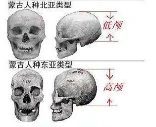 无修图的娜扎和韩国第一美人撞衫同框,依然吊打?