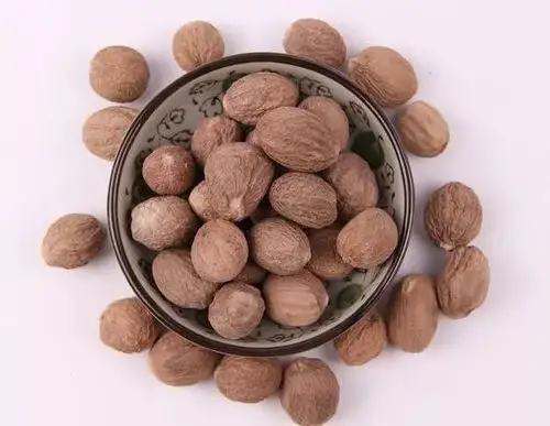 每天学一味中药肉豆蔻