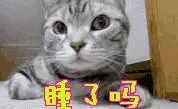 睡了吗睡gif动图_动态图_表情包下载_soogif