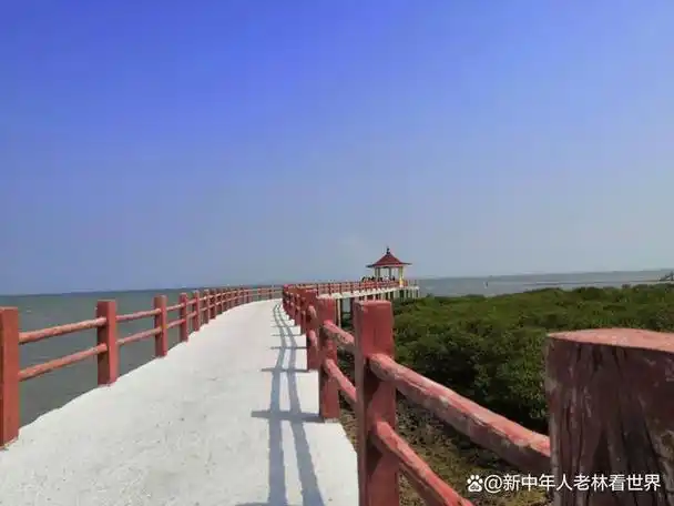特呈岛是湛江的一个著名旅游景点,以其独特的自然风光和人文景观吸引