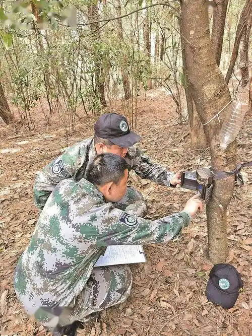 保护野生动植物三明有一套