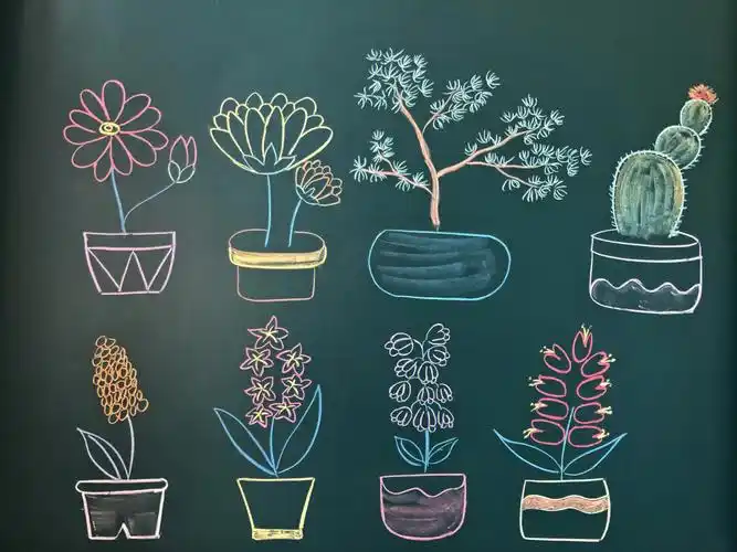 粉笔画35小盆栽