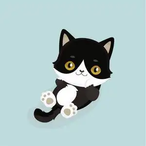 长着大眼睛的可爱的卡通黑猫.矢量图照片