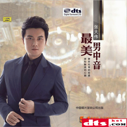 难得一见的hifi音色 声情透骨柔 张大伟《最美男中音》 updts-wav分轨