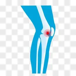 膝盖