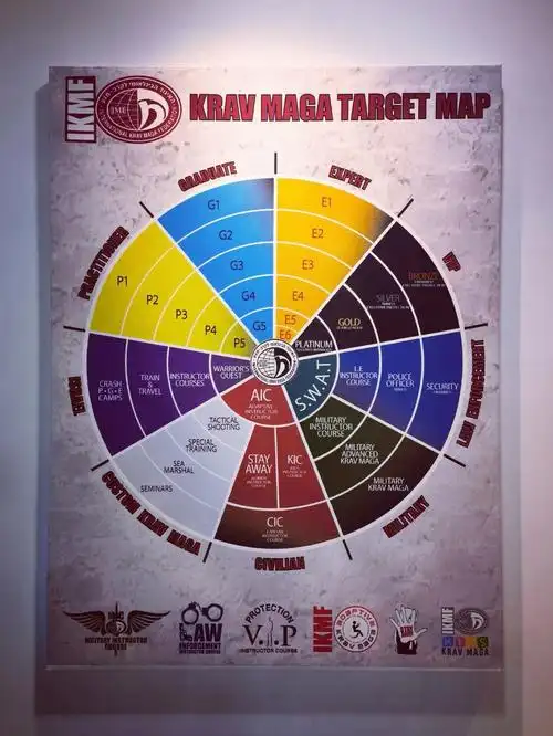 disarm defensive tactics & sports academy帝萨摩安全防卫与运动