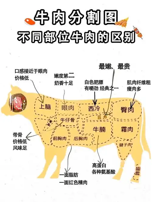 牛肉那么好吃,不同部位牛肉你知多少呢