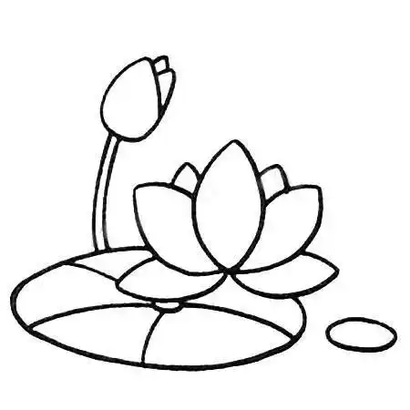 2022最新简笔画荷花 简笔画荷花的画法