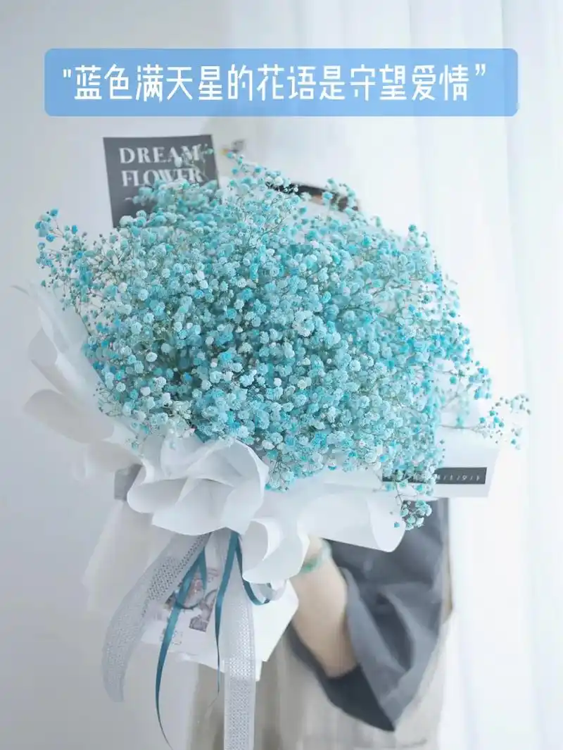 "蓝色满天星的花语是守望爱情,象征着一直默默 守护着真爱来临 - 抖音